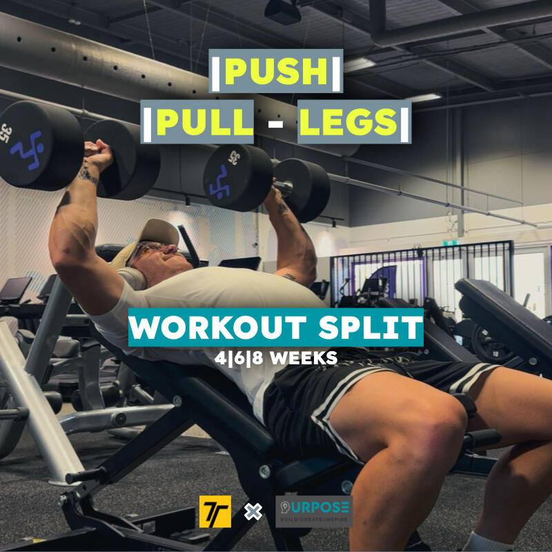 Push-Pull-Legs Workout Program